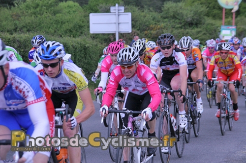 2 mai 2010 penvins (3)